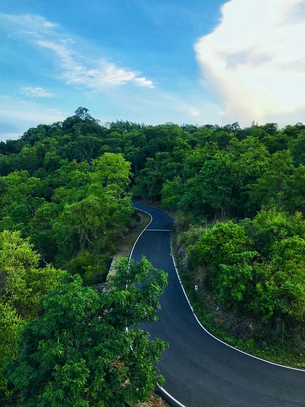 landscape of a winding road through a forest