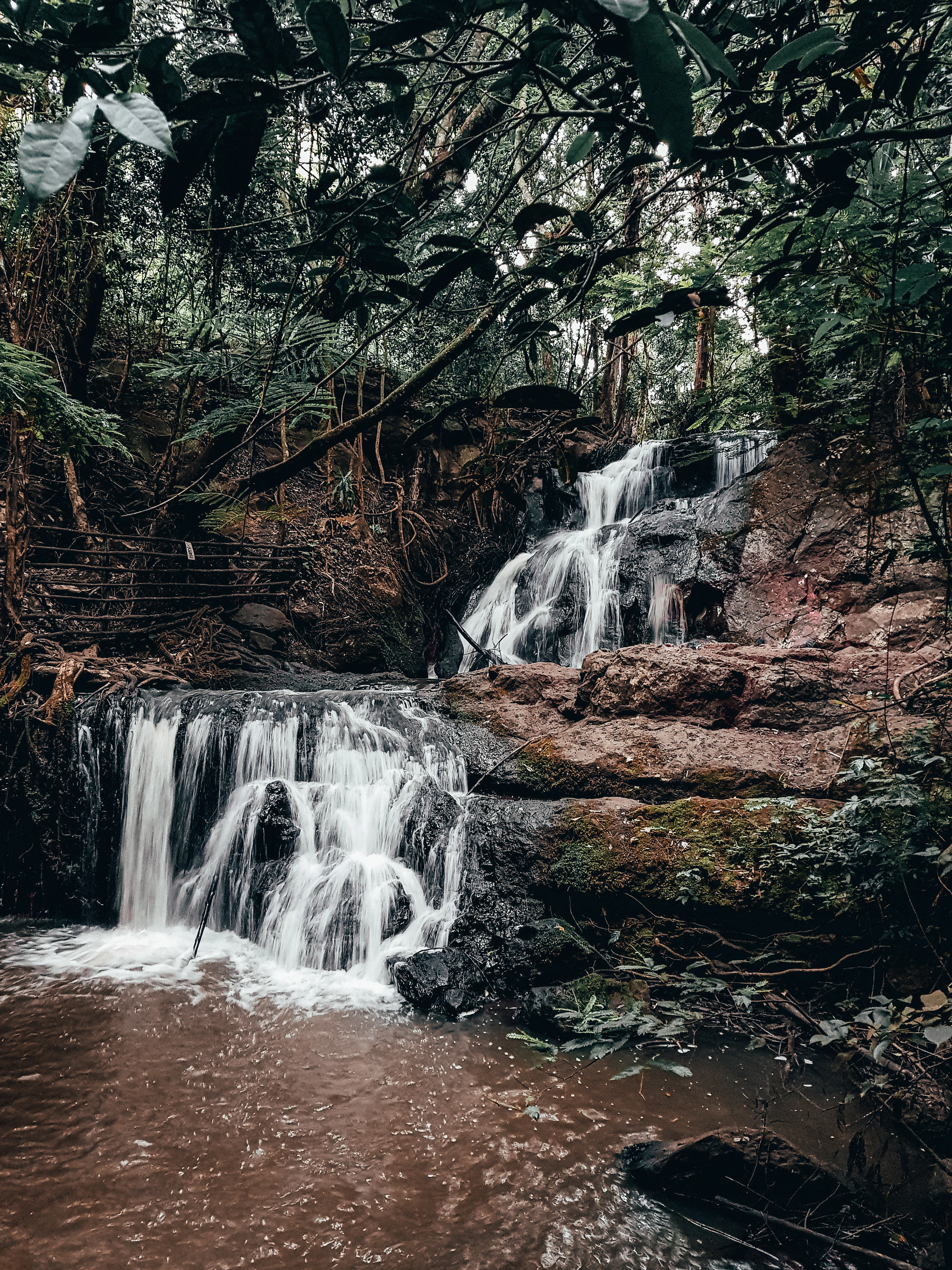 The waterfall in Karura Forest, Nairobi, dropping in two silky white steps over dark rock into a brown pool, enclosed by ferns, creepers and dense green canopy.