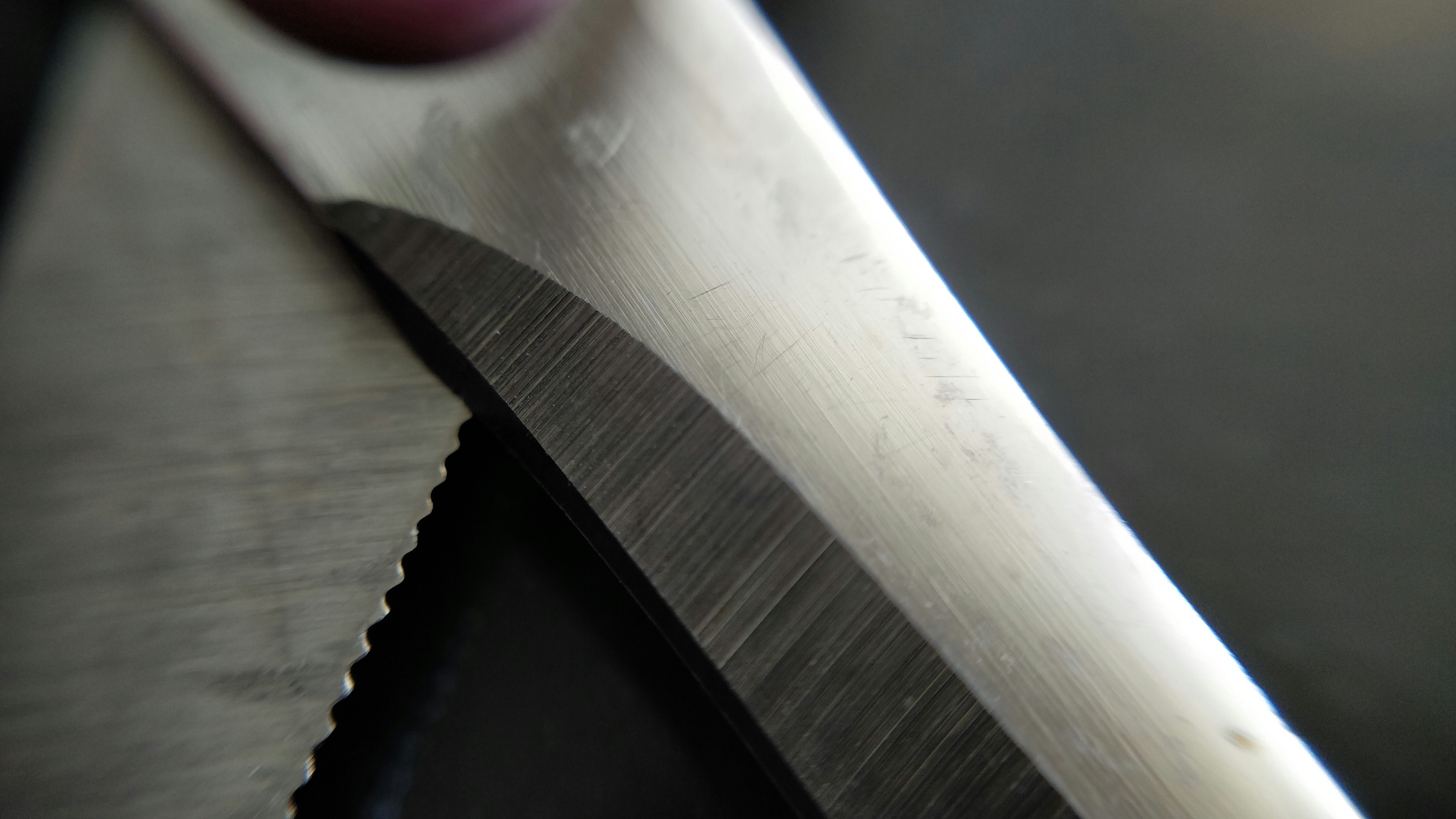 High quality steel garden scissors on natural wood background