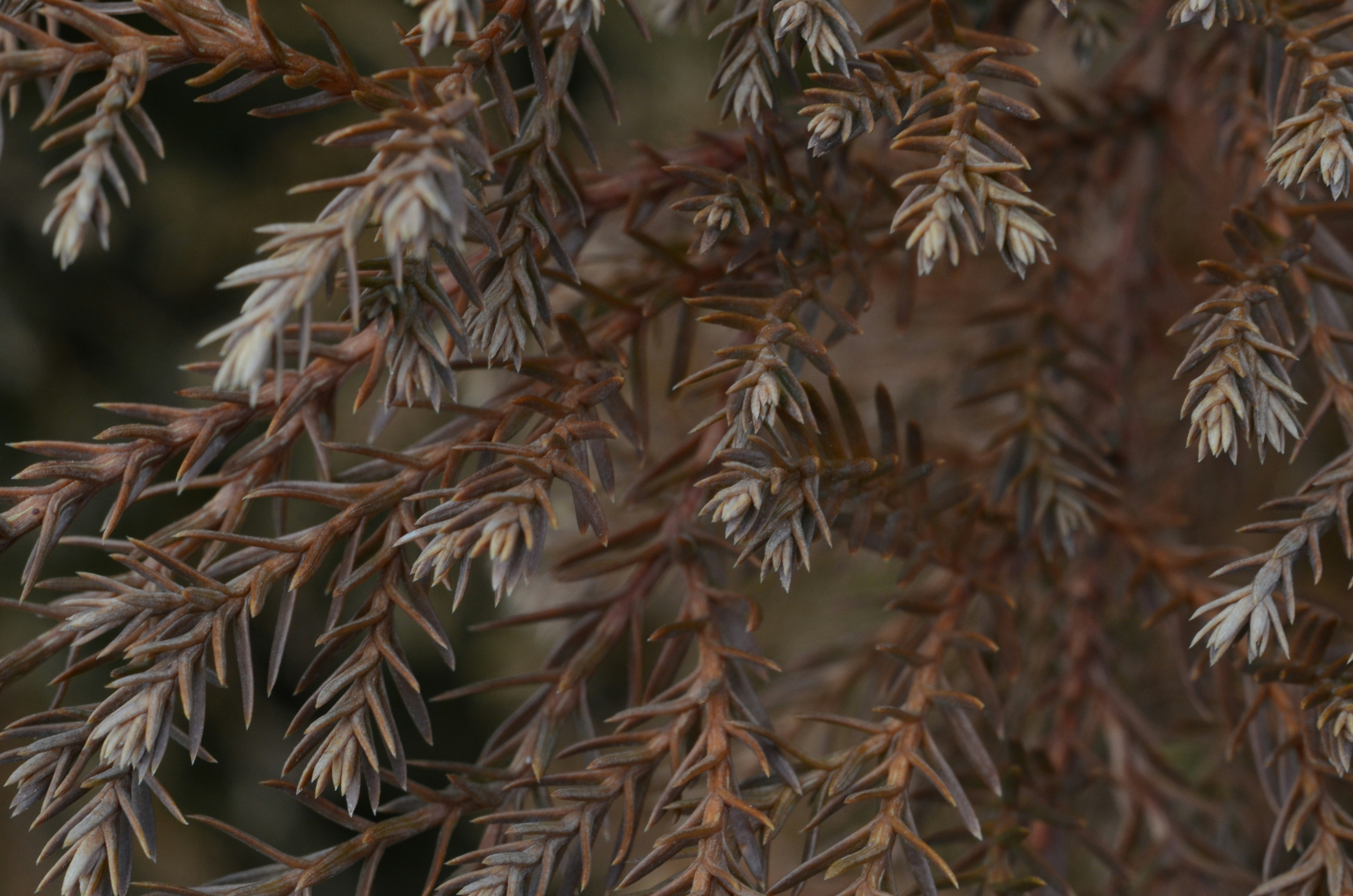 Photo by viktortalashuk