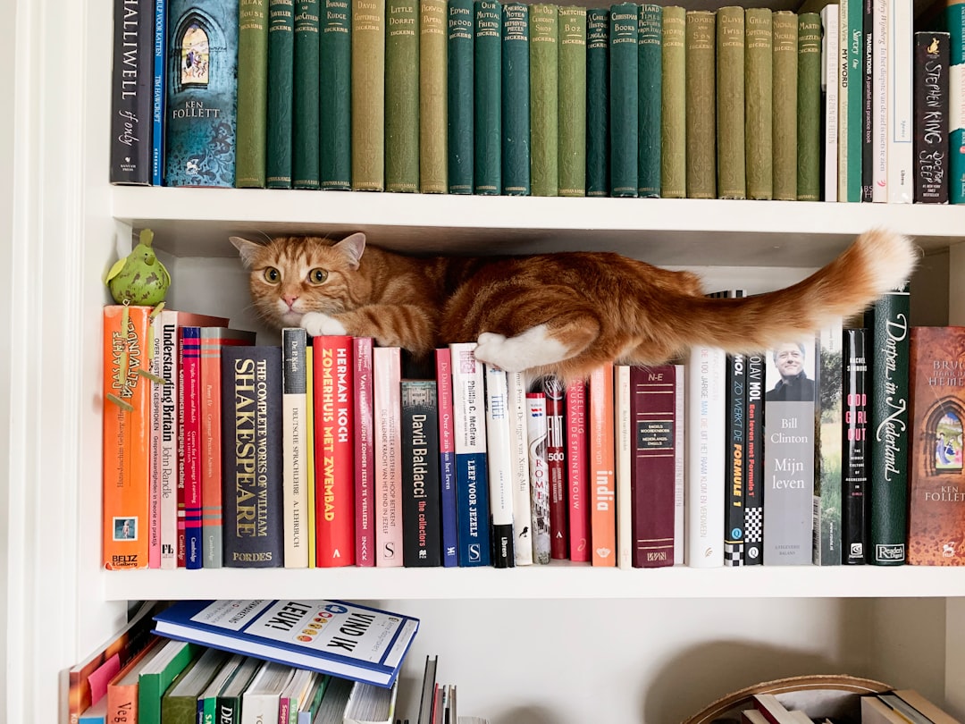 Our young brat cat does everything to find his food. We left some of it on the bookshelf the evening before. This guy is a relentless athletic contortionist. Gotta love him.