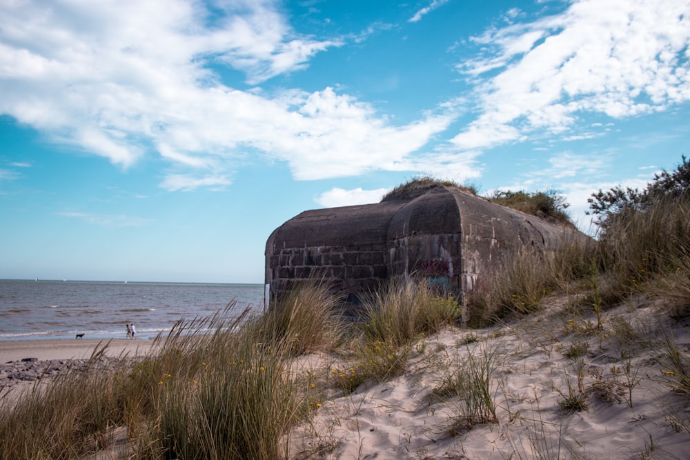 Muro de hormigón gris en la costa durante el día