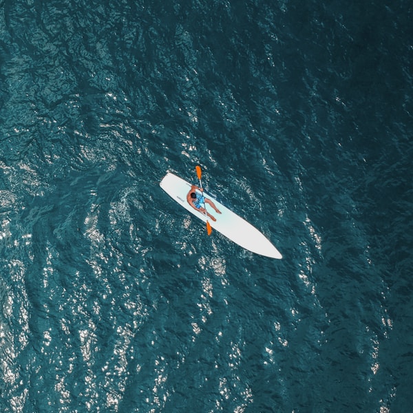 Spicy Chicken Sandwich