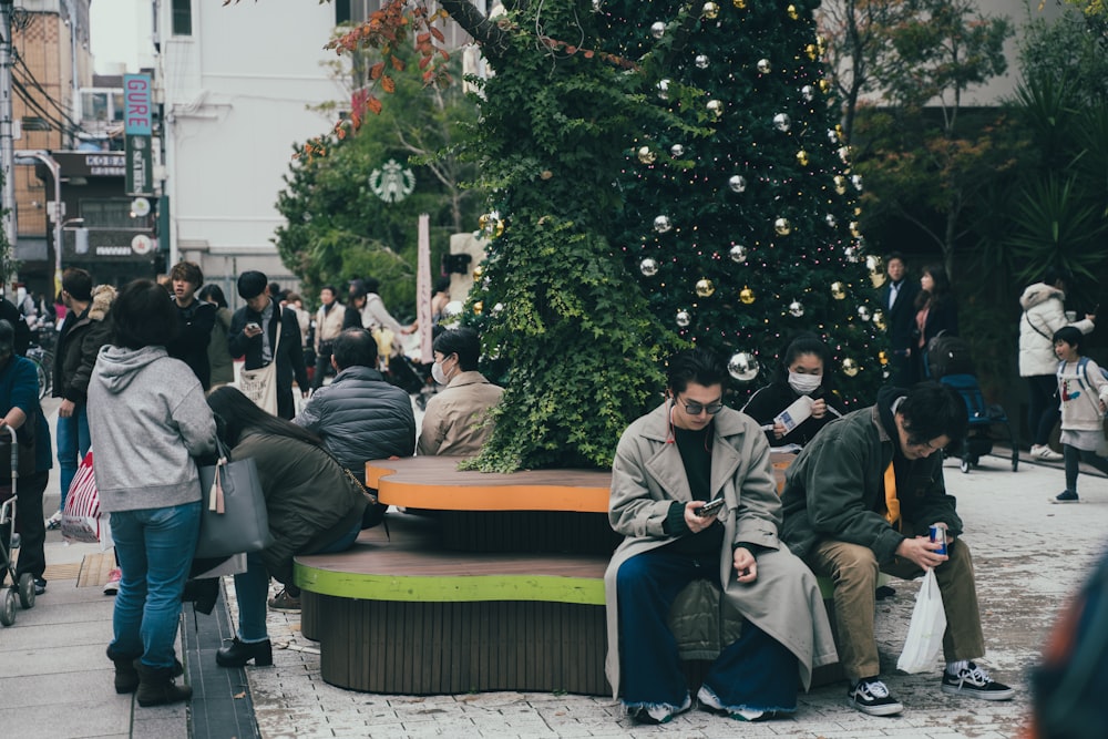 people standing and sitting near green trees during dayitme