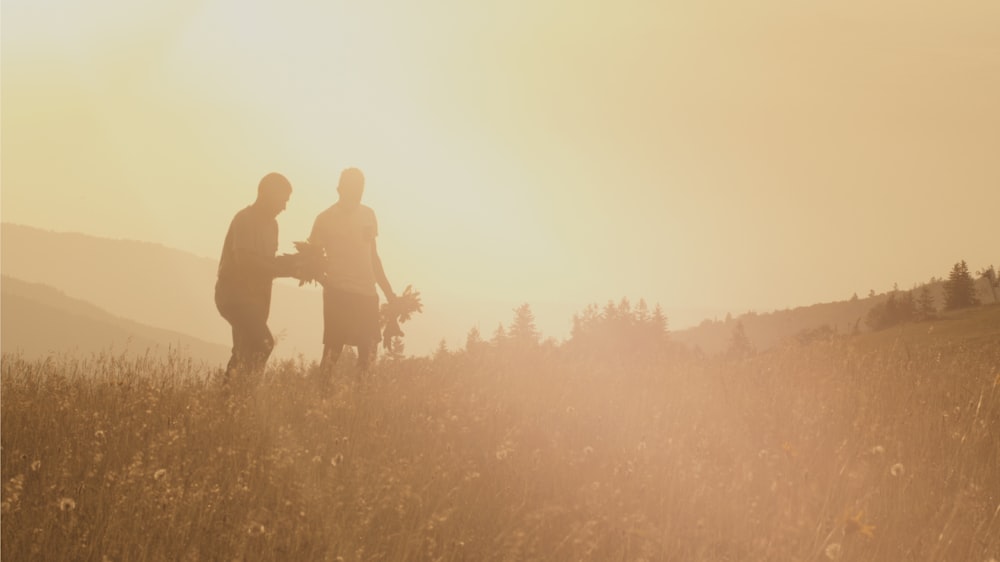 Silueta de dos hombres de pie en el campo de hierba durante el día