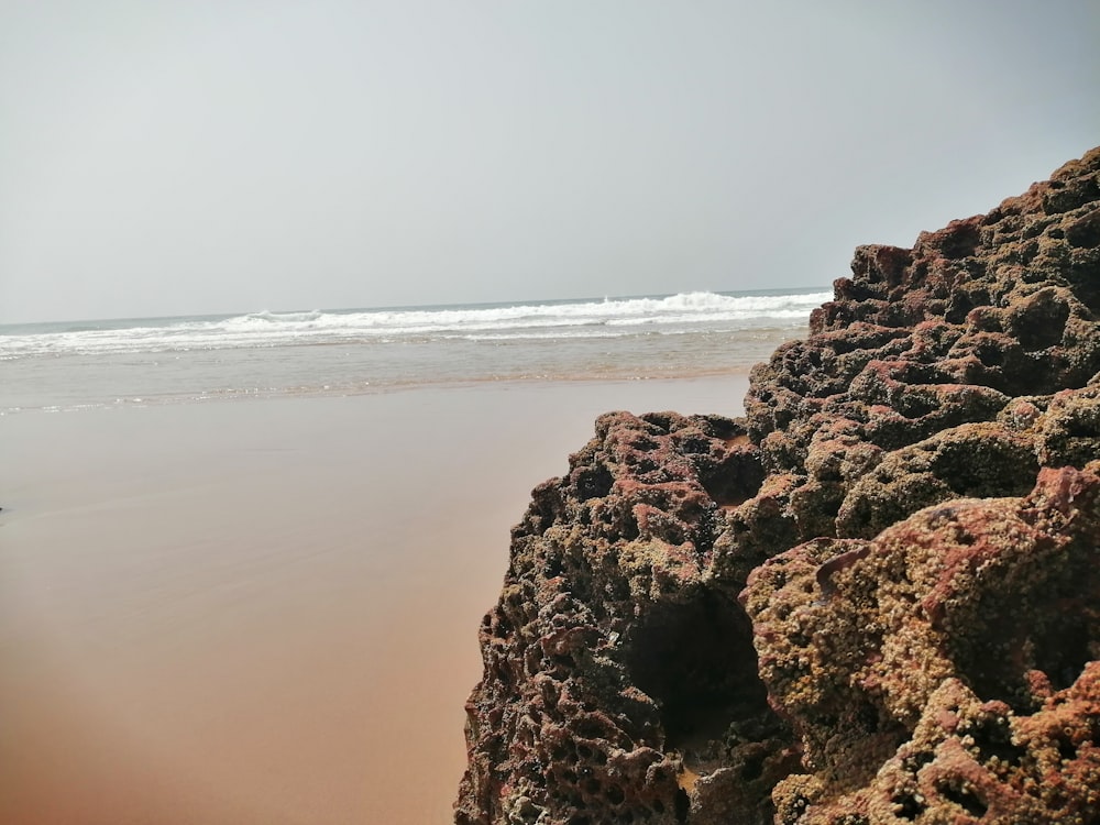 낮 동안의 갈색 돌과 해변 사진