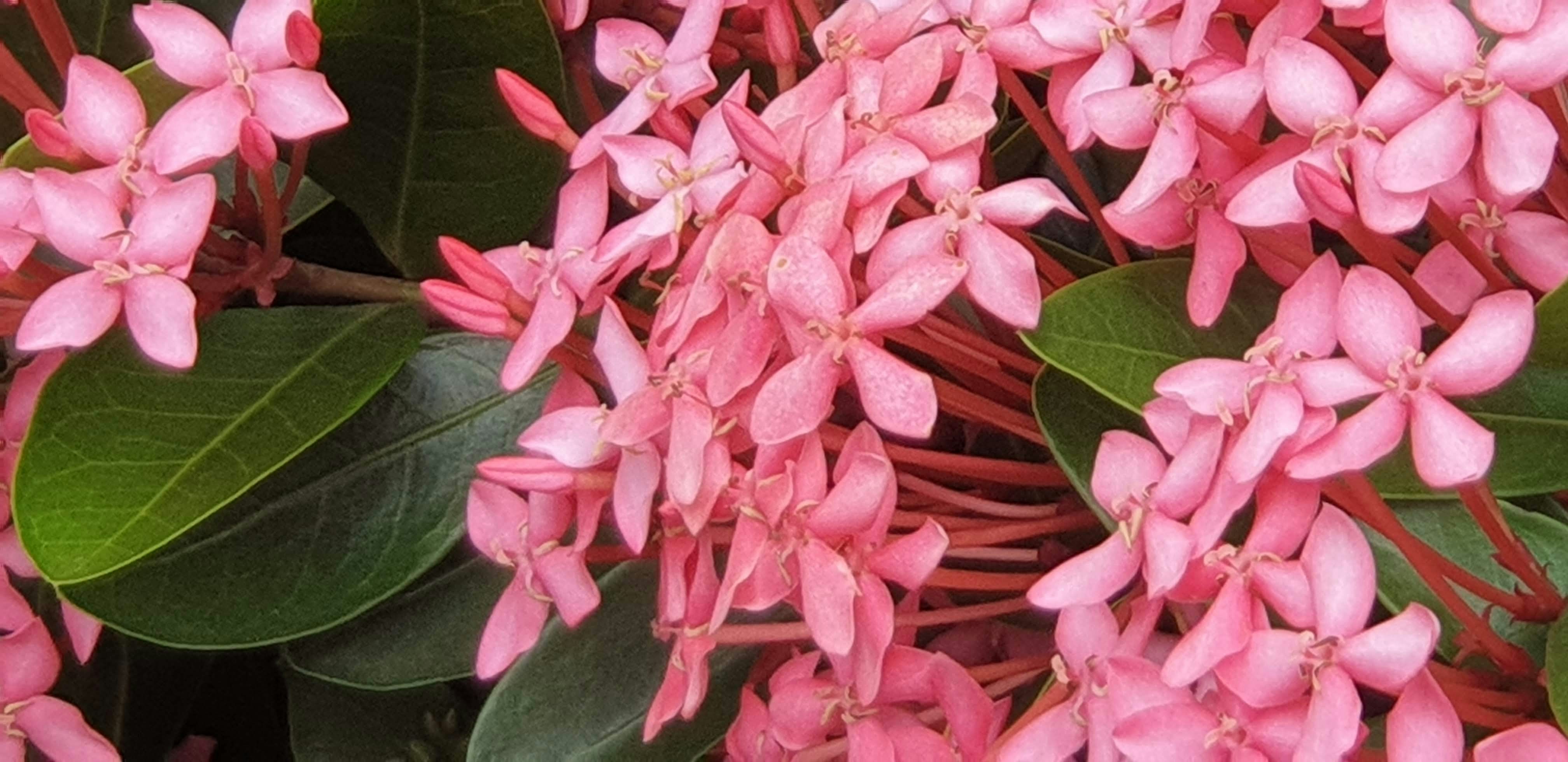 Photo by tongtonglin