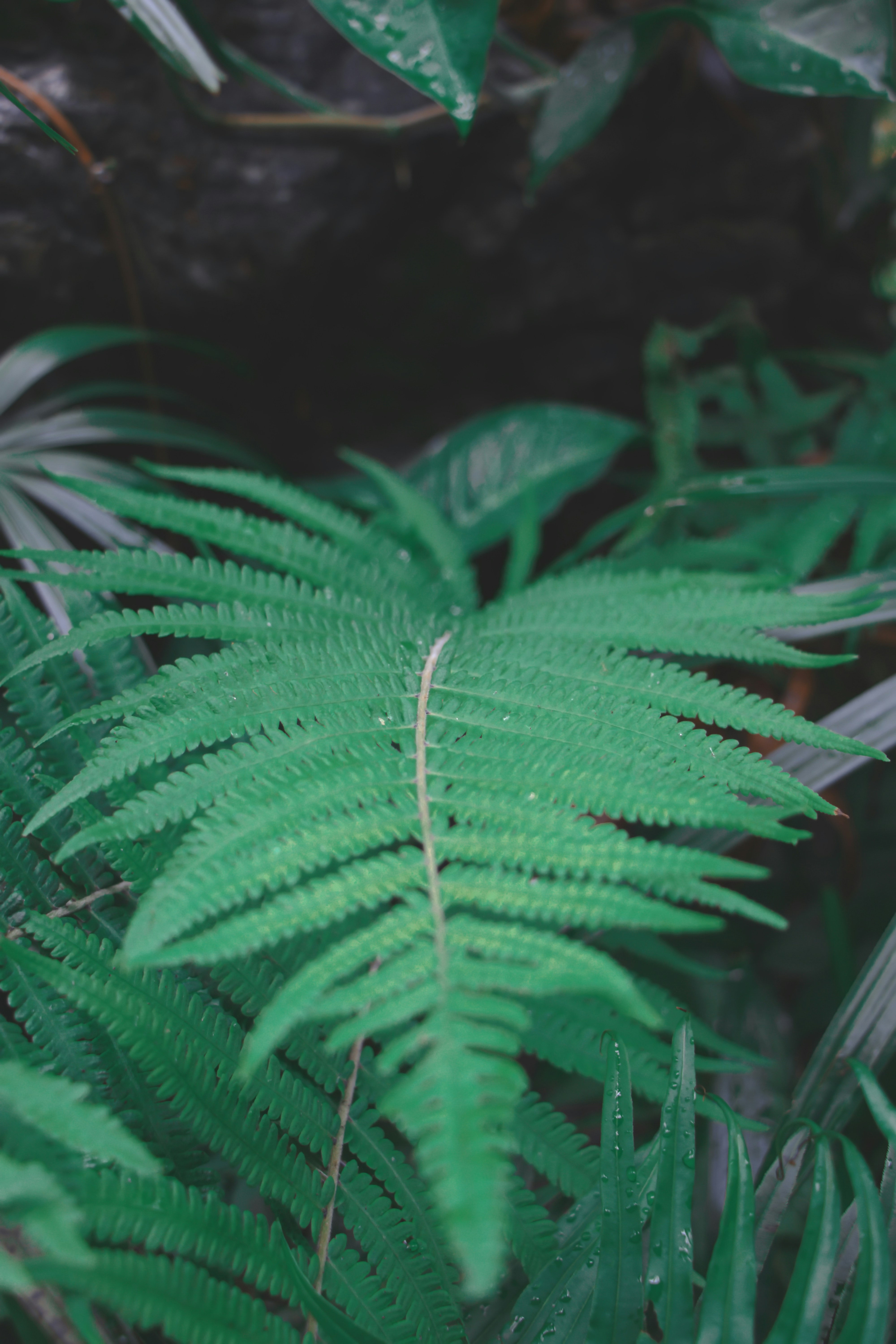 Photo by thaejirapon