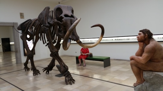 A museum exhibit featuring a large mammoth skeleton on display next to a sculpture of a prehistoric human sitting thoughtfully. A person wearing a red outfit is seated on a bench, observing the display. The room is spacious with beige tiles and minimalistic design.