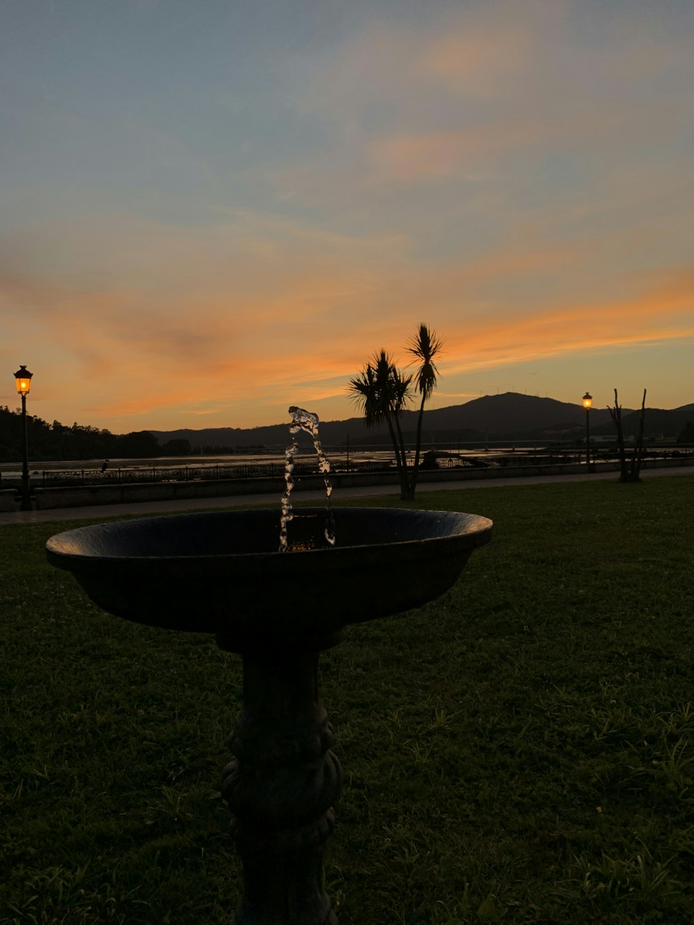 birdbath fountain at the park during golden hour