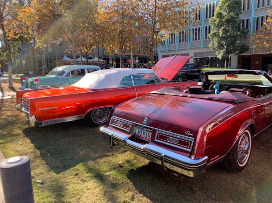 Several classic cars are parked on a grassy area. The vibrant red and orange vehicles appear to be from the mid-20th century, featuring convertible roofs and polished chrome details. In the background, autumn trees and a modern building add to the setting. A bright, sunny day casts soft shadows, enhancing the warm tones of the scene.