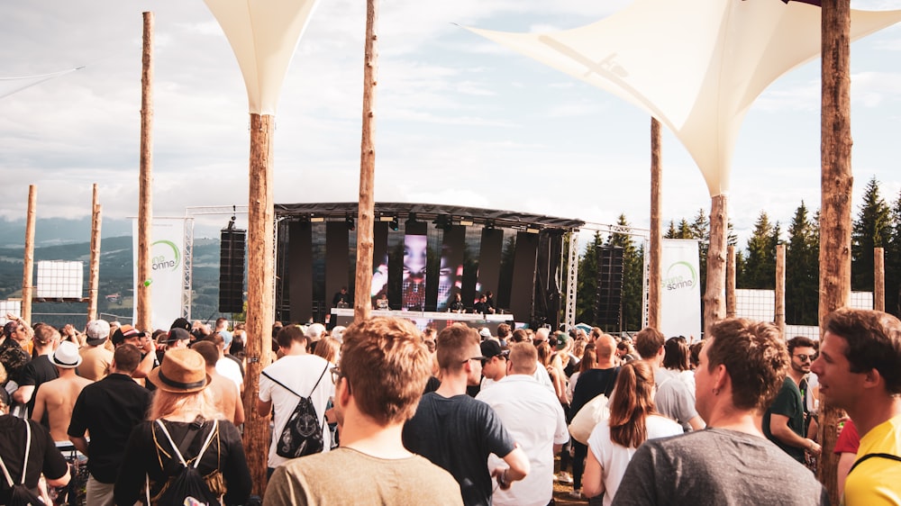 crowd watching a concert