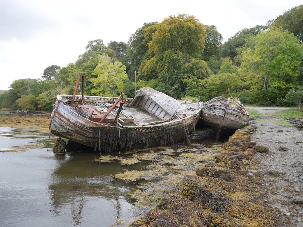 two moldy gray wooden boats