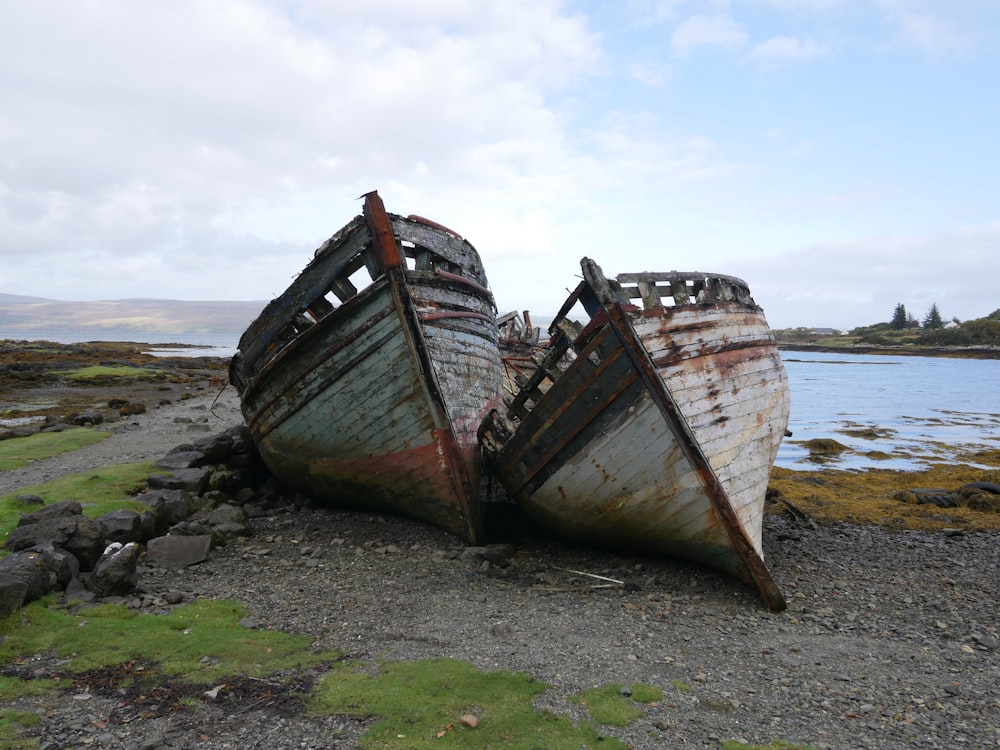 brown and white boats