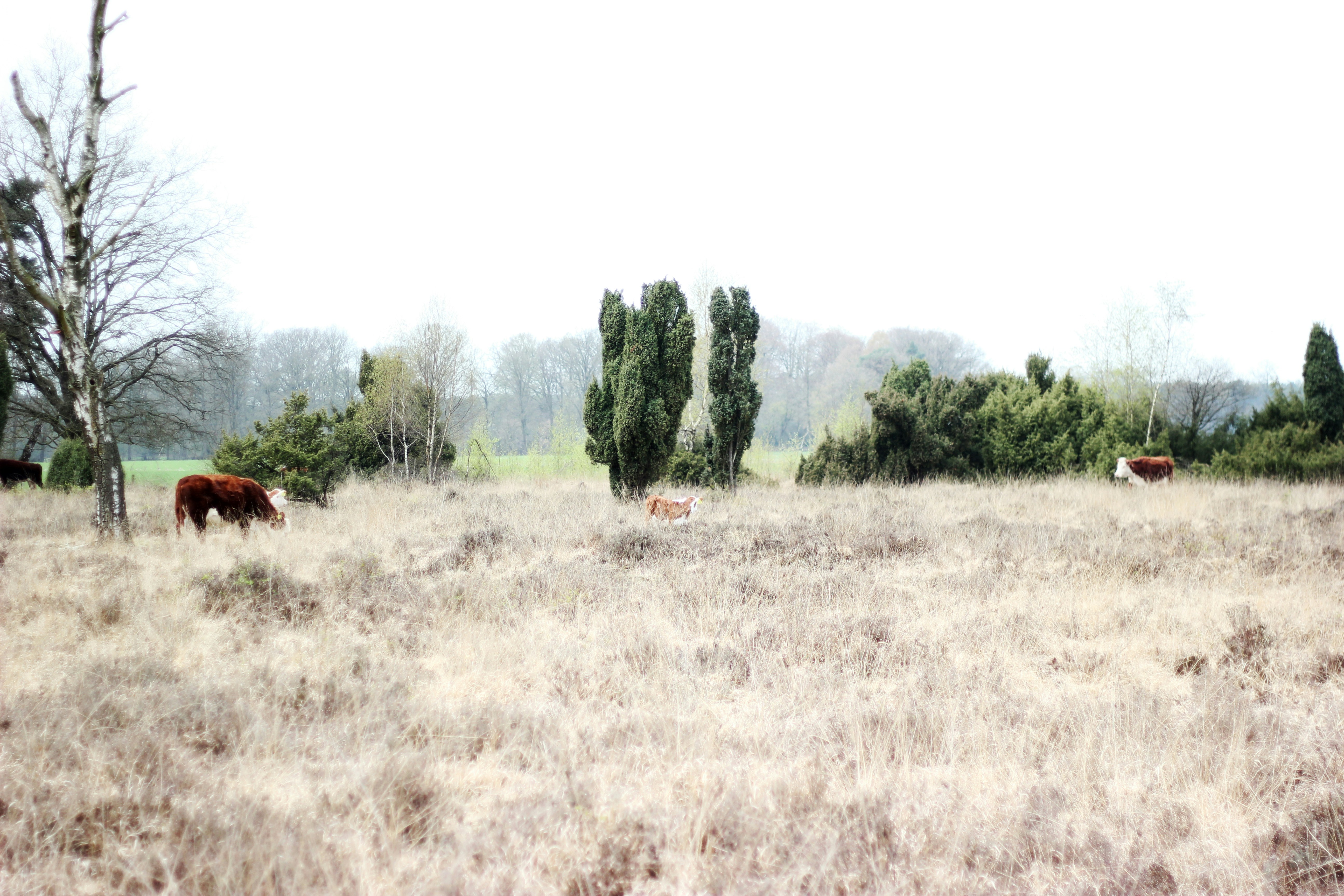 Photo by micheile