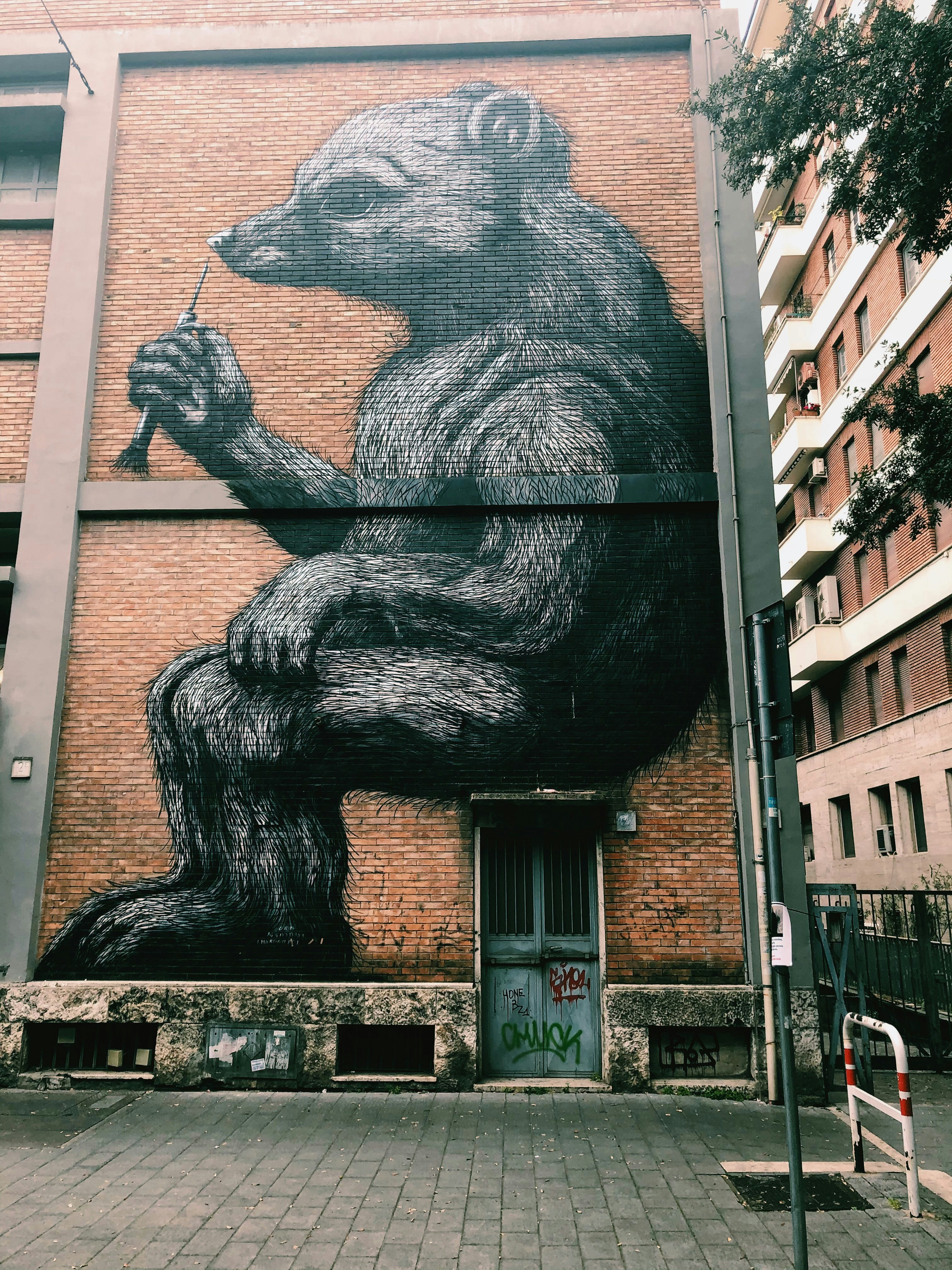 ROA