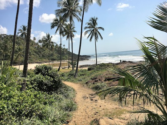 A sandy track through the palms above the sea — Itacaré, Brazil