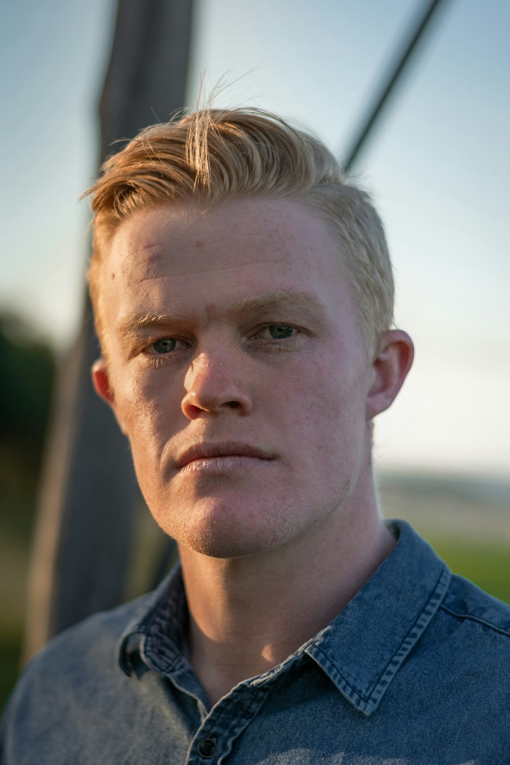 man portrait wearing blue collared top