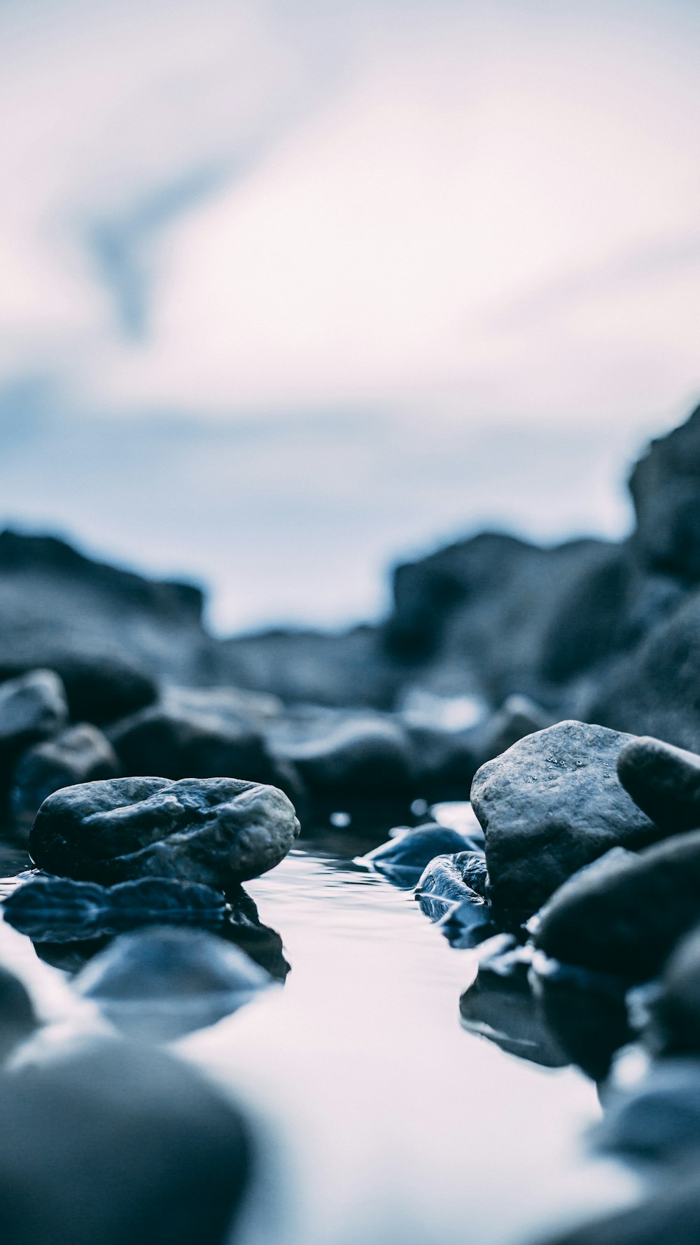 selective focus of rocks with water