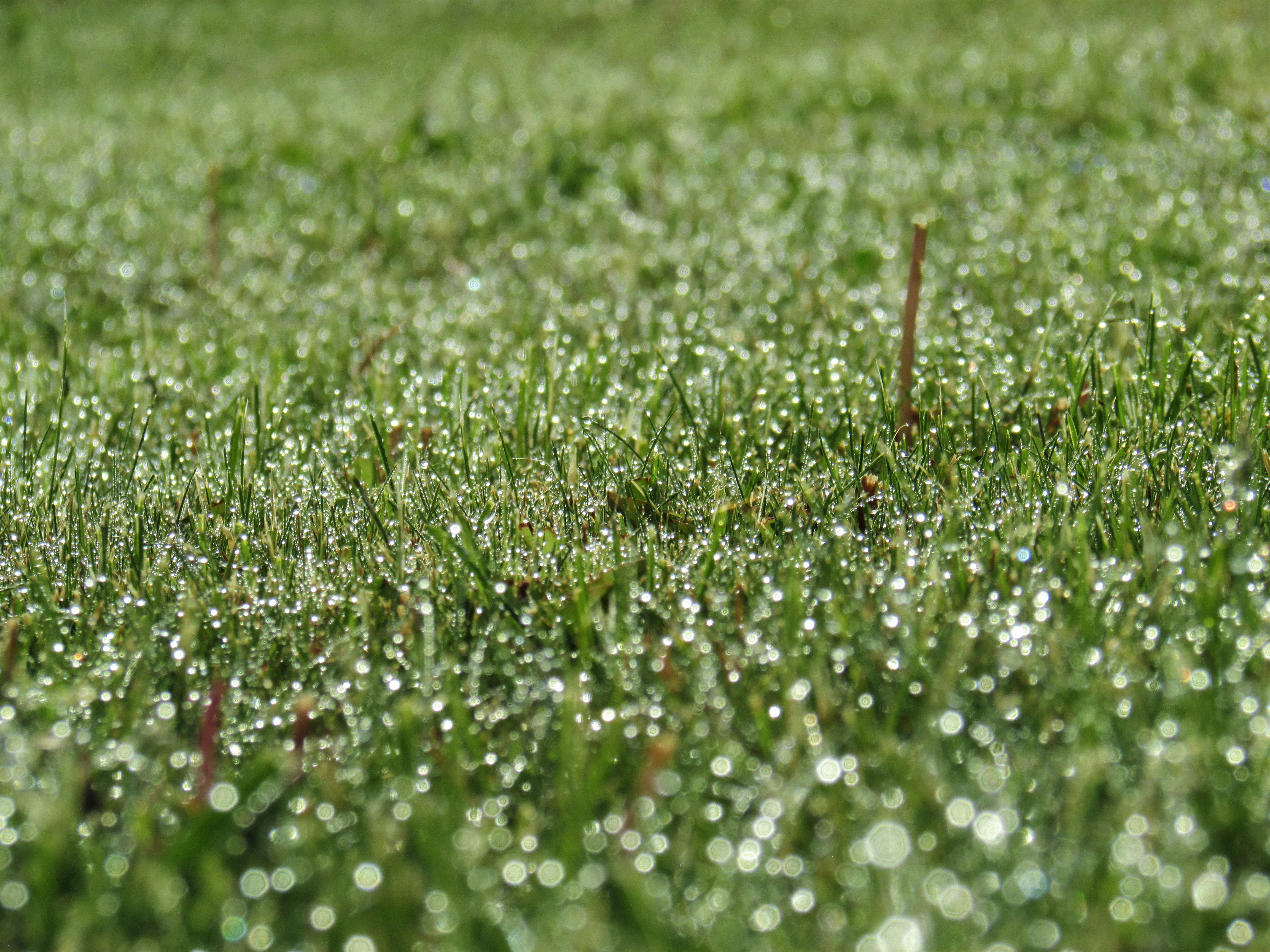 Photo by alexgrenier