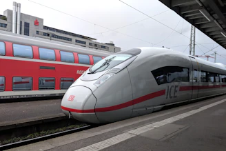 Prise en charge personnalisée de vos déplacements à la gare TGV de Lyon Part Dieu 