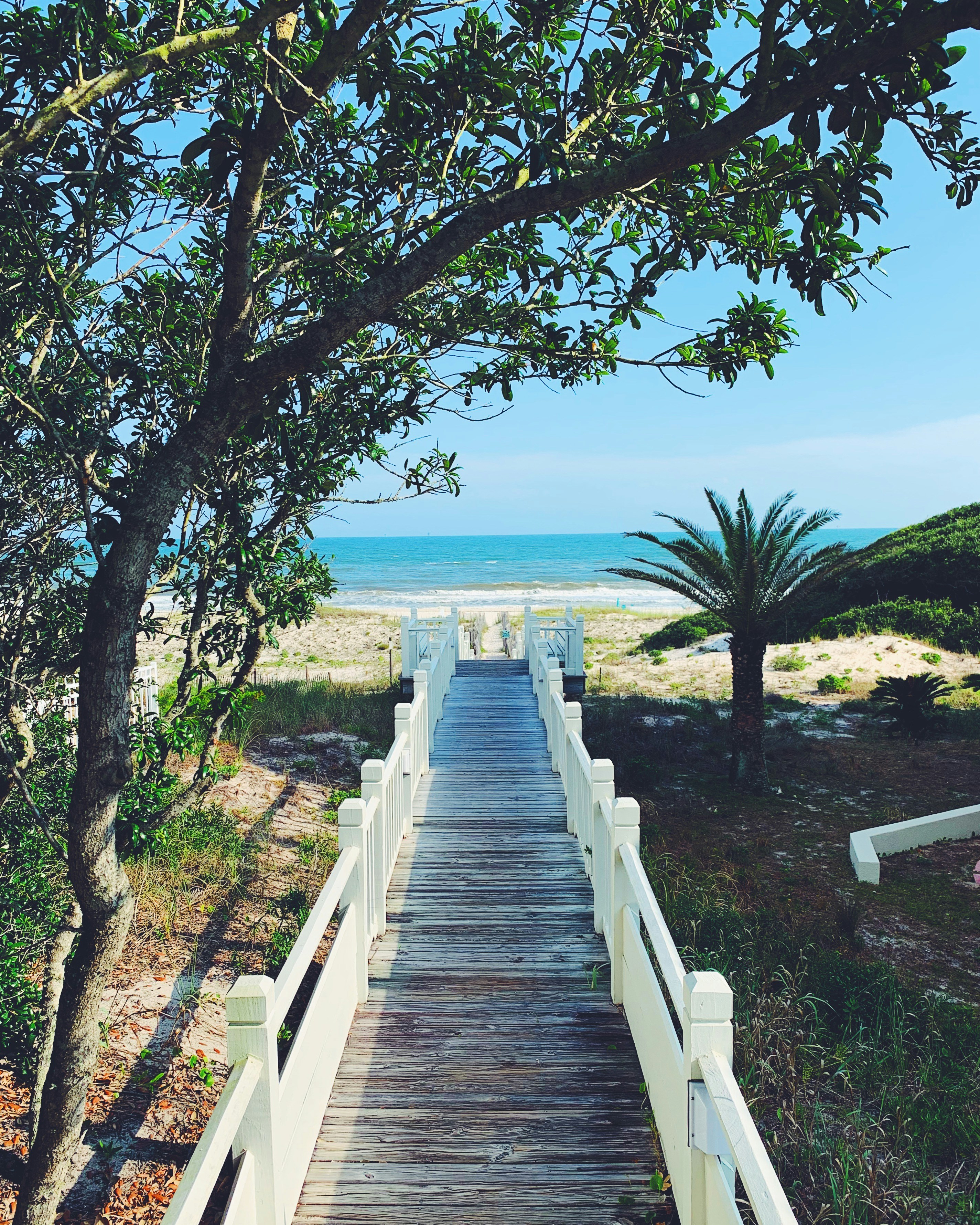 white wooden pathway leading to the shore during daytime