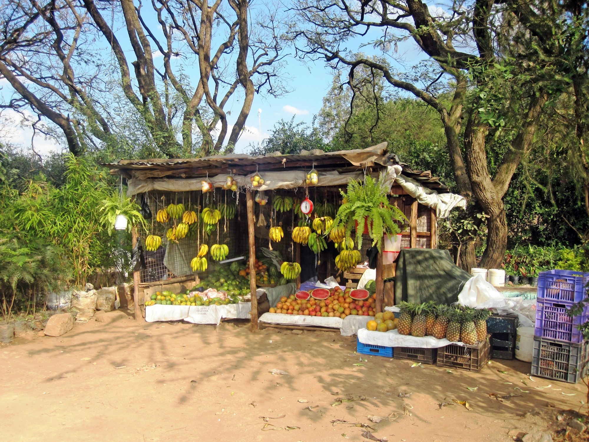 Banana shop in Nairobi, Kenya