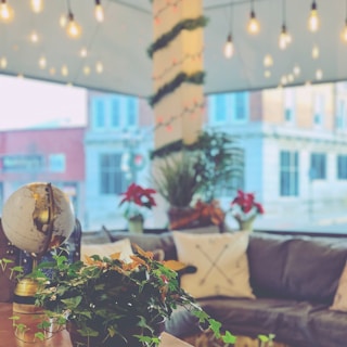An interior space features a cozy seating arrangement with a gray couch adorned by patterned pillows. A globe and potted plants, including ivy and poinsettias, are placed on a table in the foreground. The background displays a large window offering a view of a building exterior. Warm-hued string lights hang from above, lending a festive ambiance to the setting.