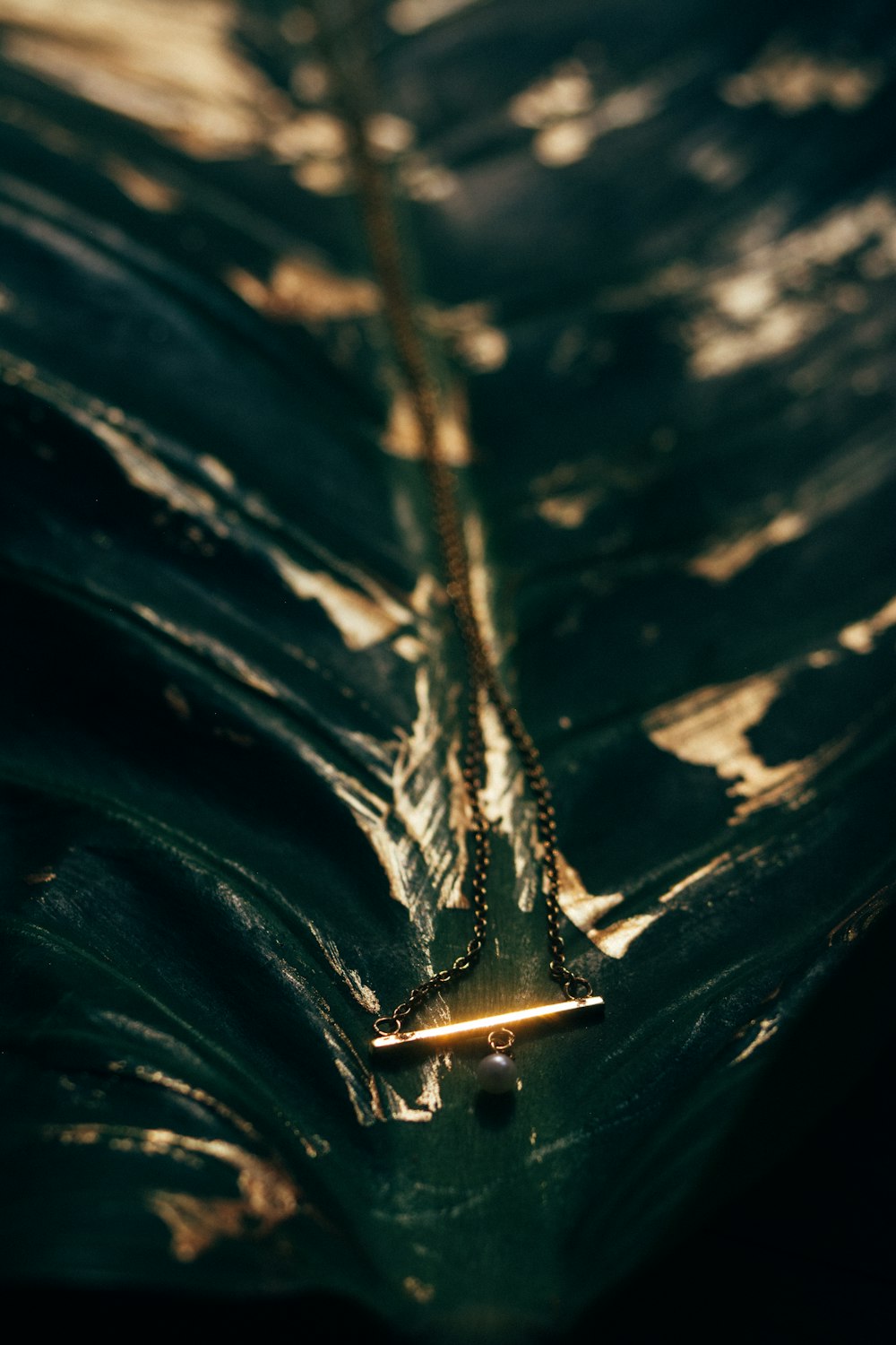 gold-colored chain necklace on green-leafed plant