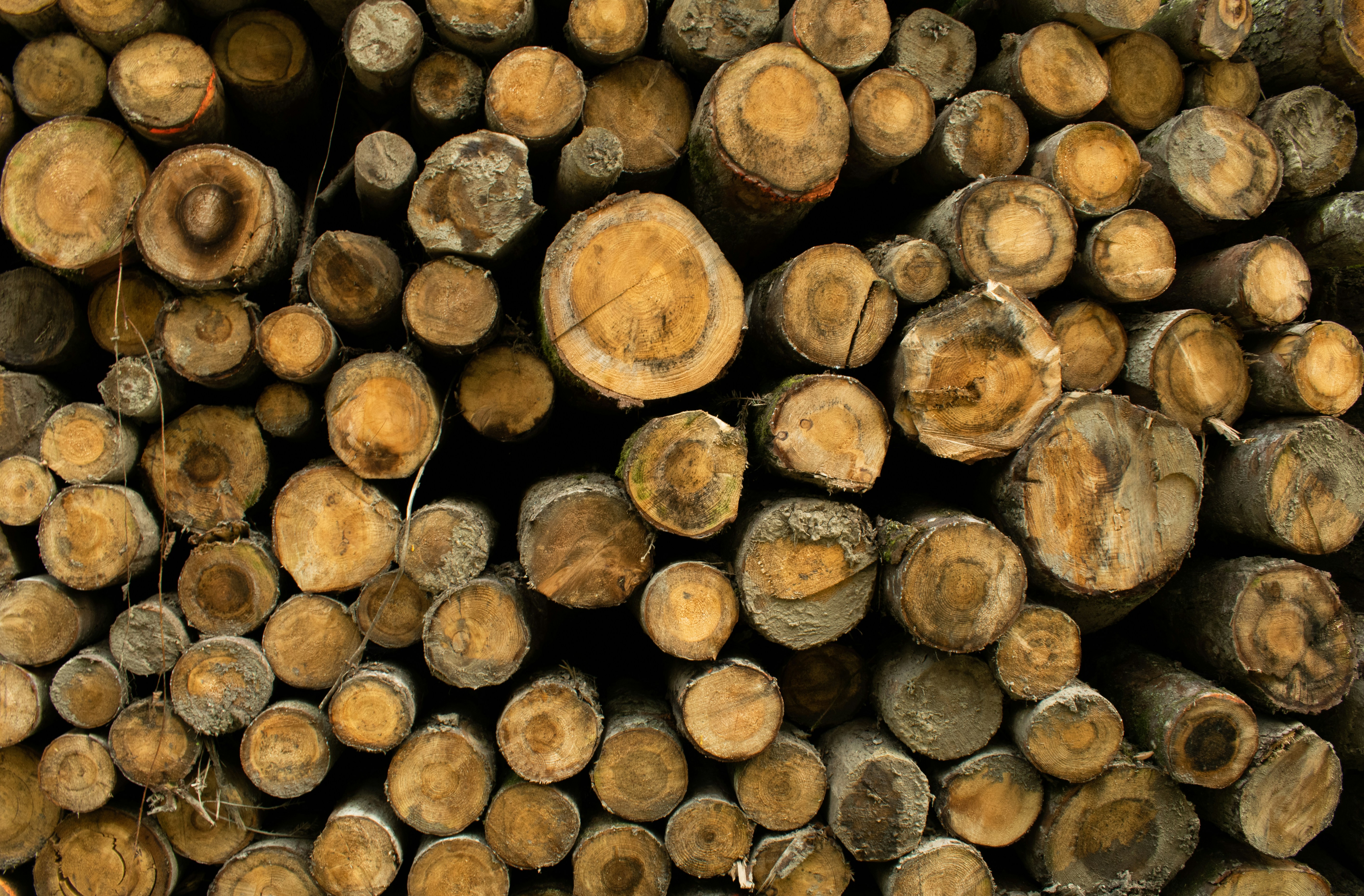 brown wooden logs