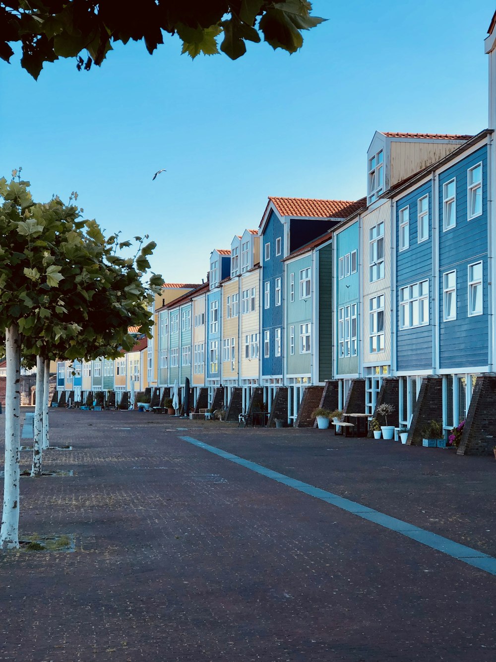 blue wooden houses