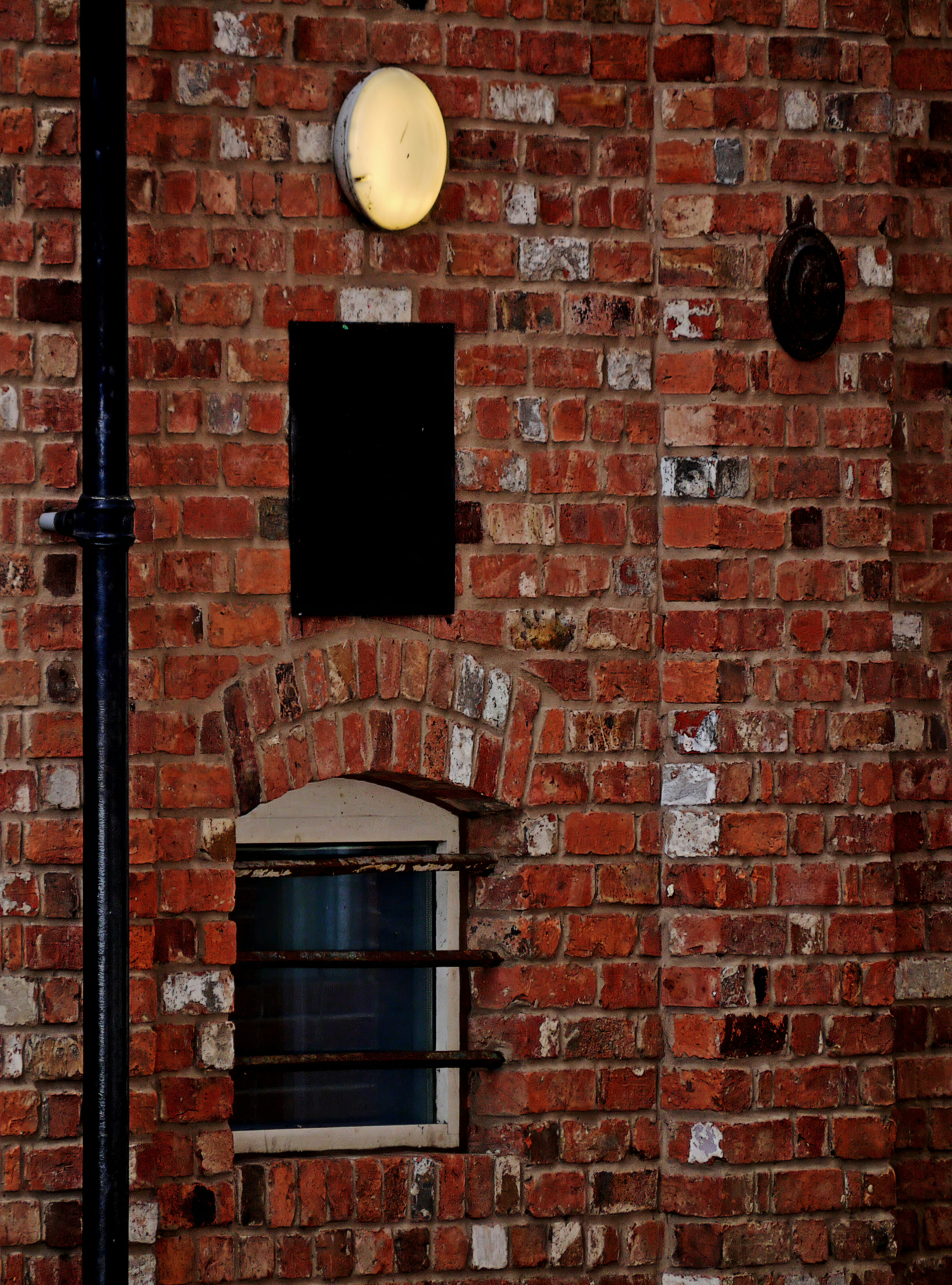 Photo by brett_jordan