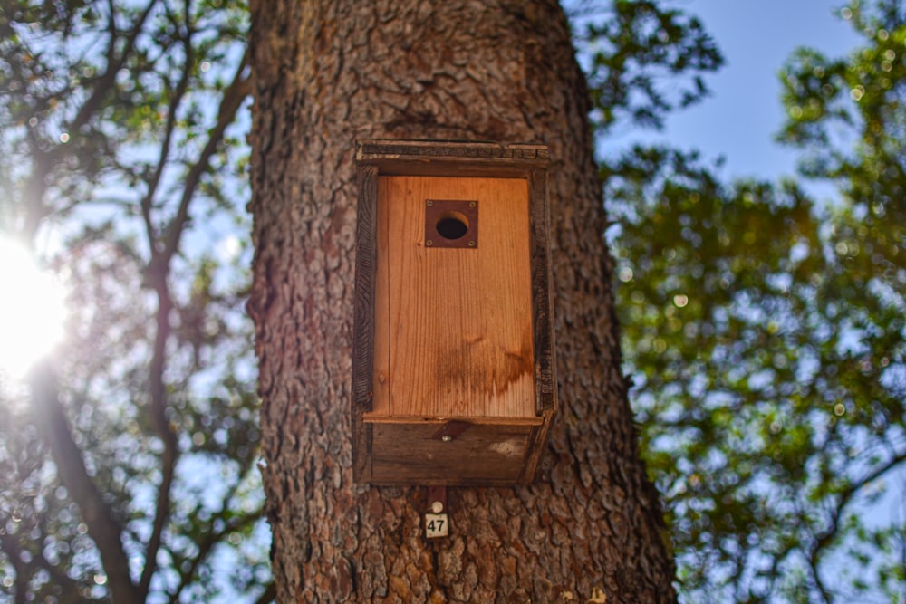 brown wooden bird nest