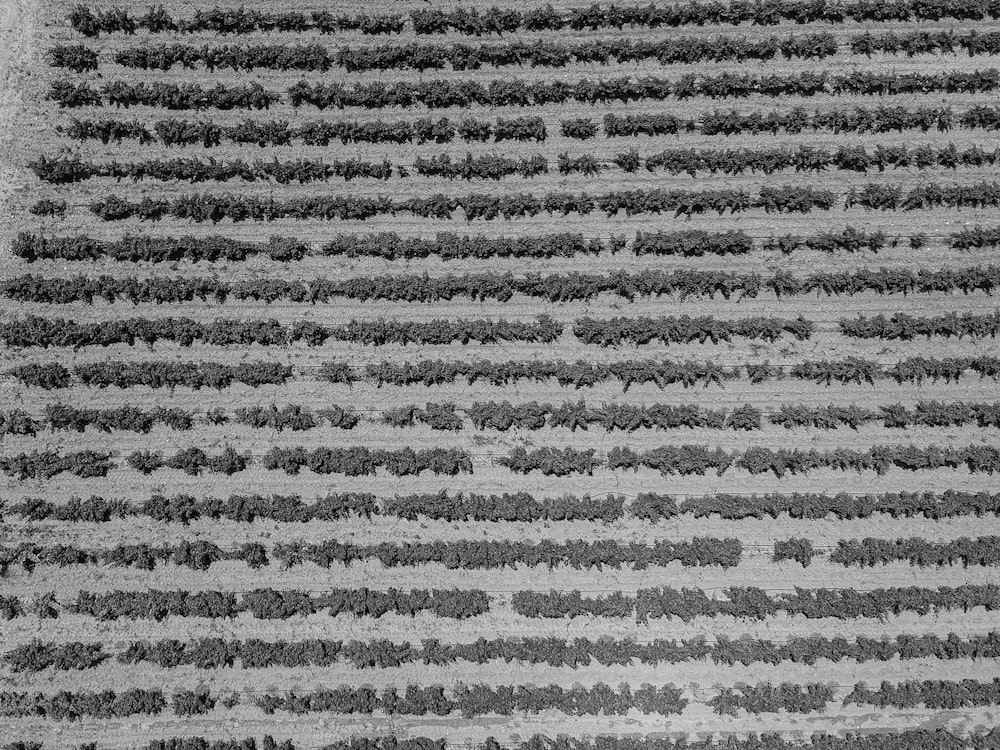 a black and white photo of an american flag