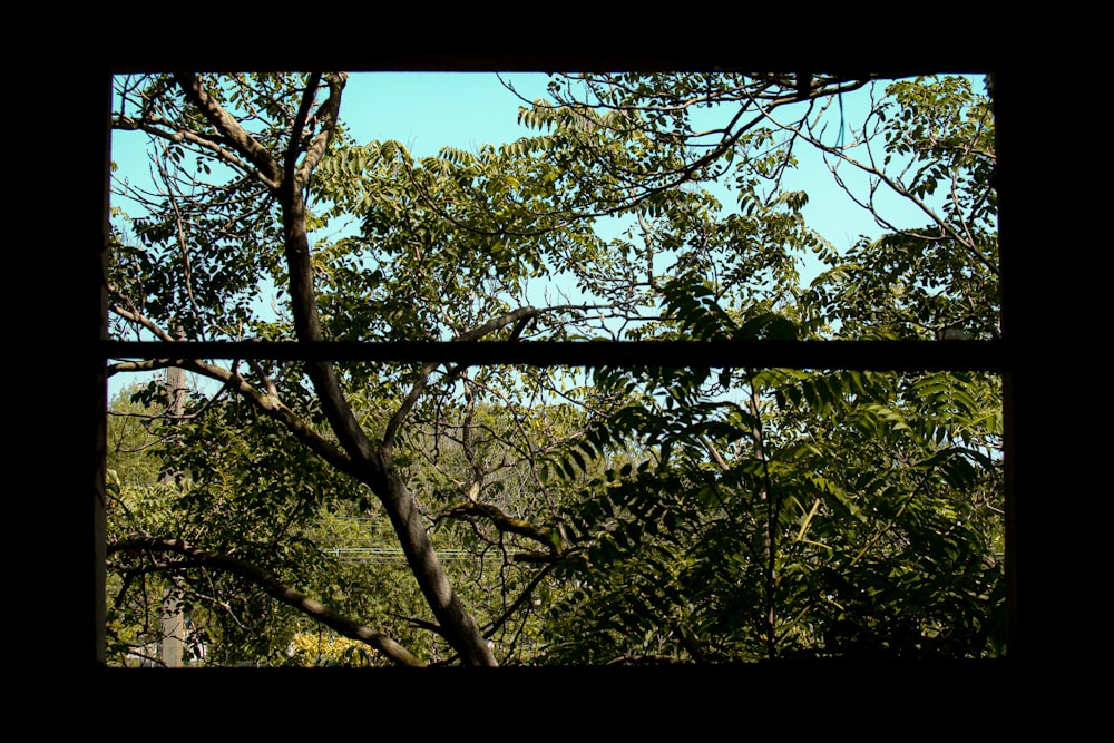photo 1562090518 06f985b5a092?ixlib=rb 4.0