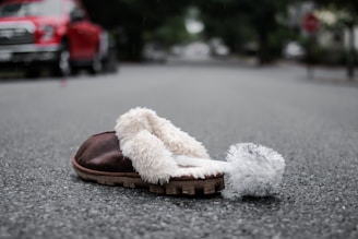 A single brown slipper with white fluffy lining rests on an empty street. In the background, a red vehicle is parked along the side of the road, which is lined with trees and blurred buildings.
