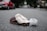 A single brown slipper with white fluffy lining rests on an empty street. In the background, a red vehicle is parked along the side of the road, which is lined with trees and blurred buildings.