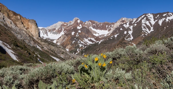 A scenic view of the Wyoming mountains.