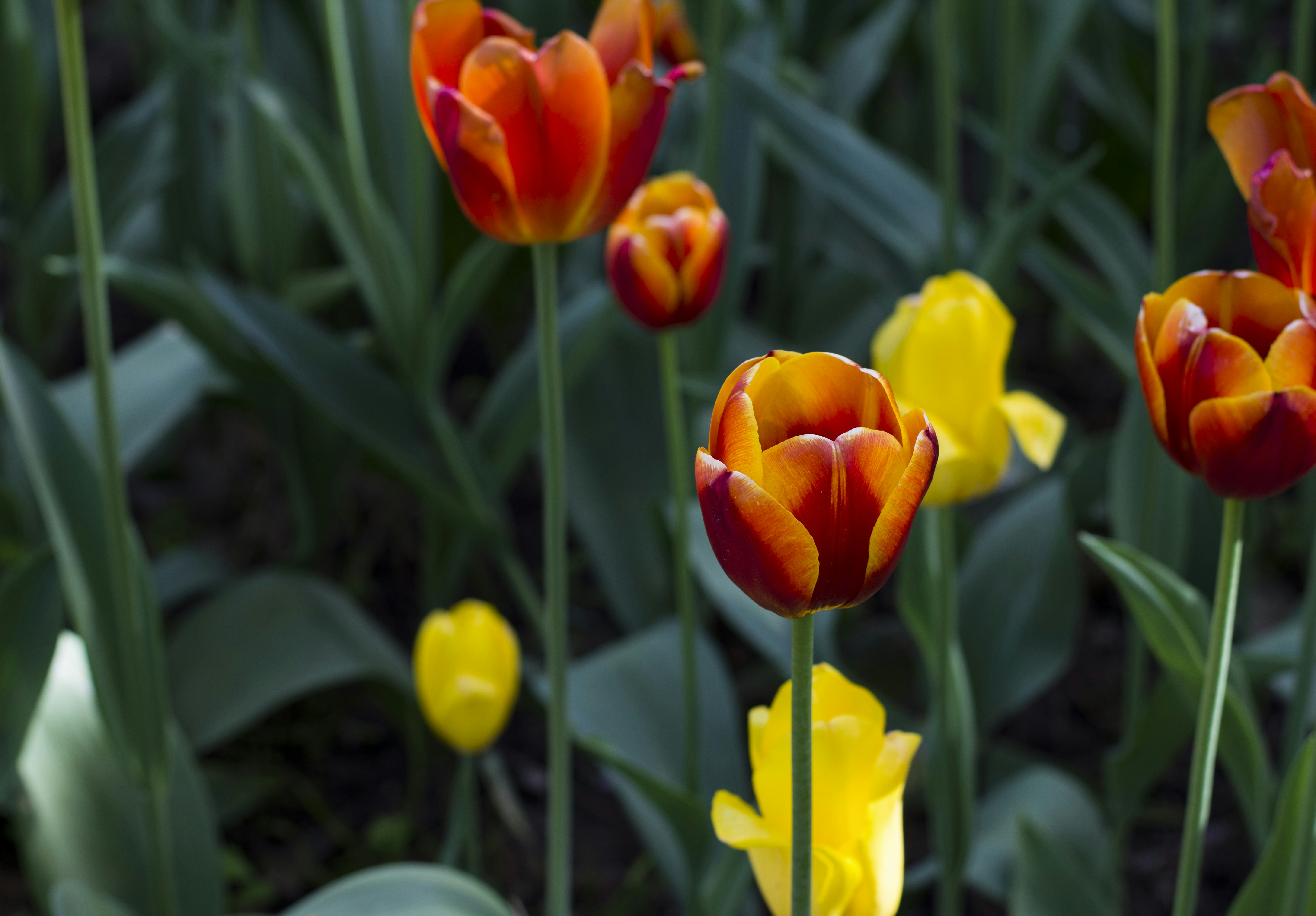 Photo by littlebearhugs