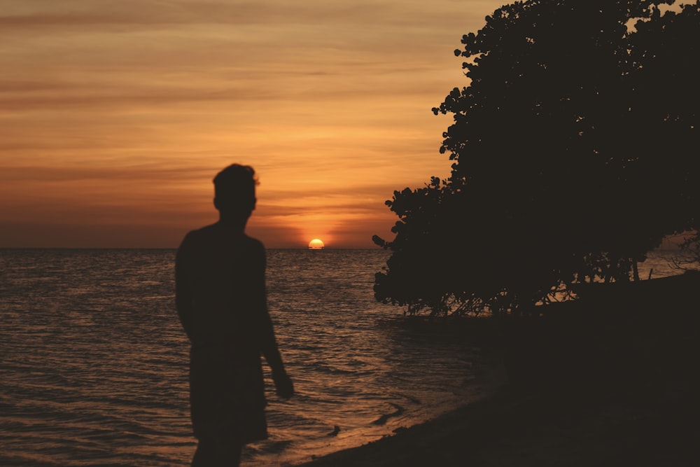silhouette d’hommes debout sur le rivage pendant le coucher du soleil