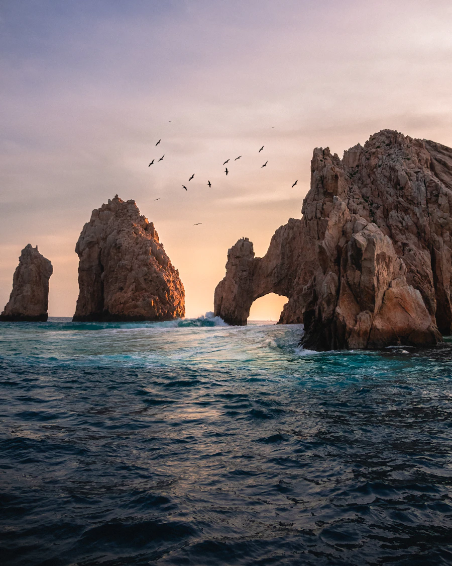 Los Cabos