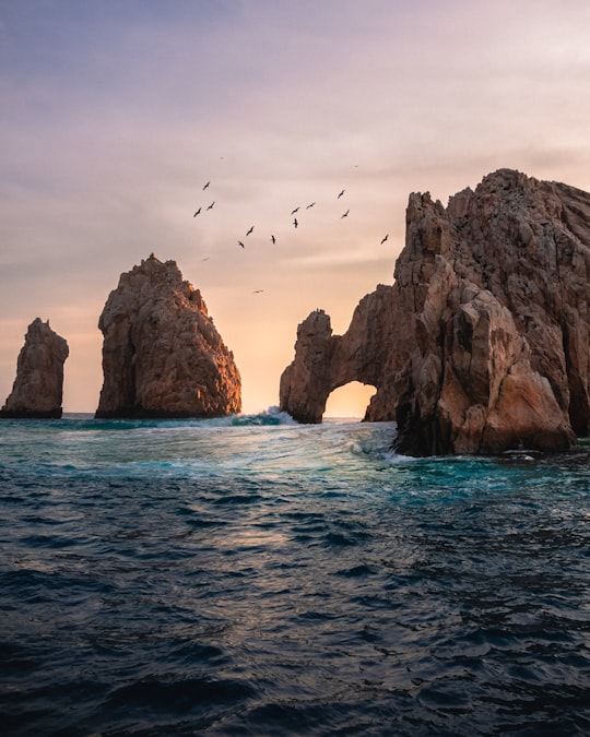Cabo San Lucas things to do in San José del Cabo