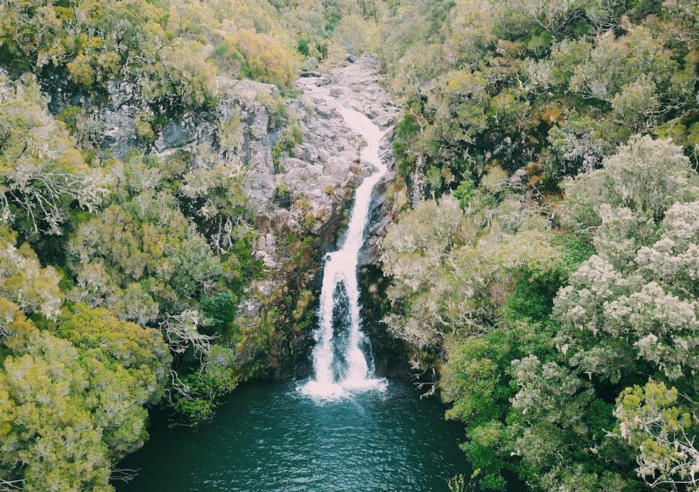 waterfall in forest