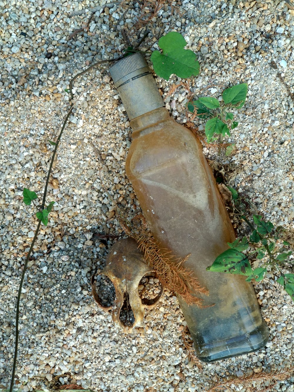 clear glass bottle