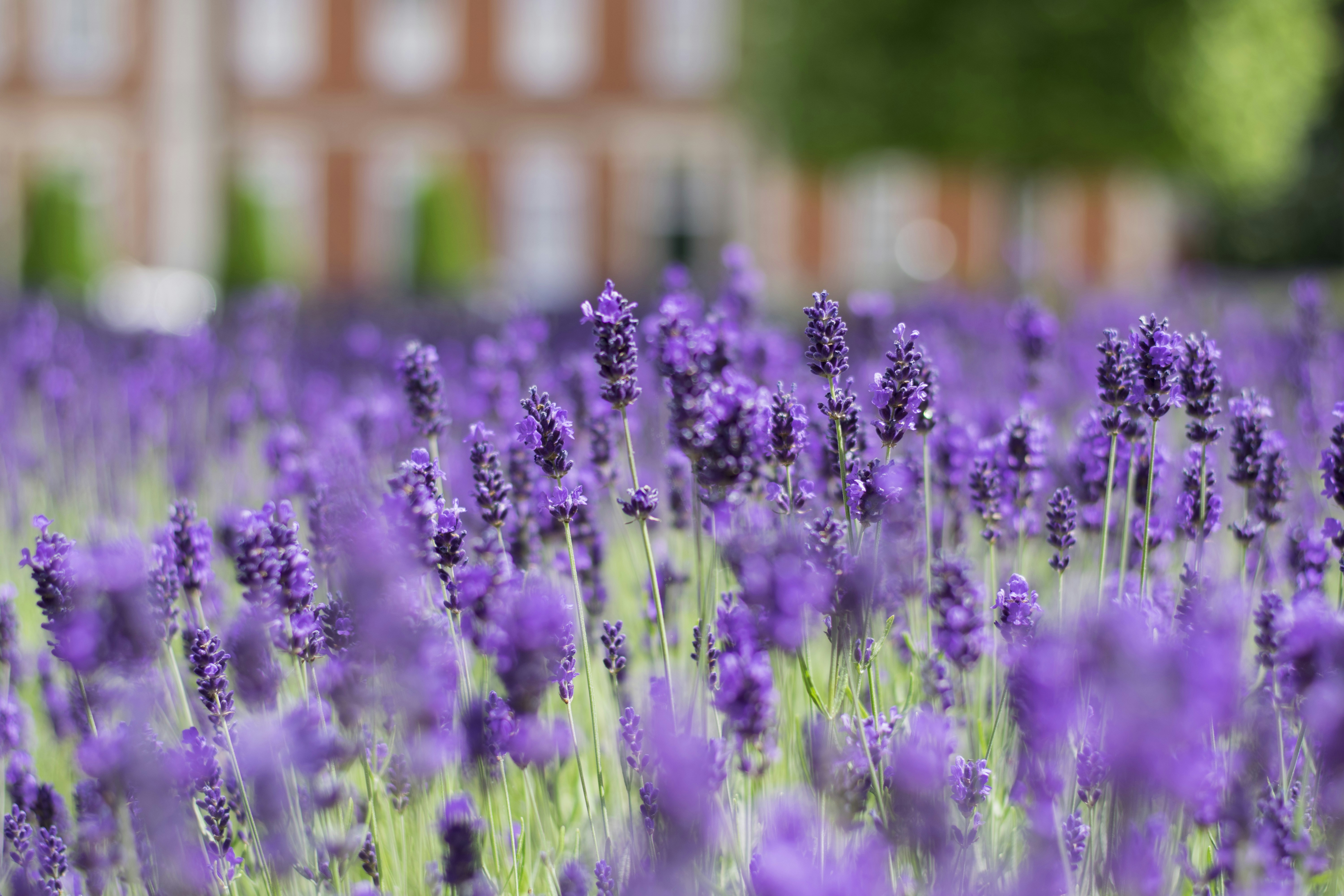 Photo by itsrobcoates