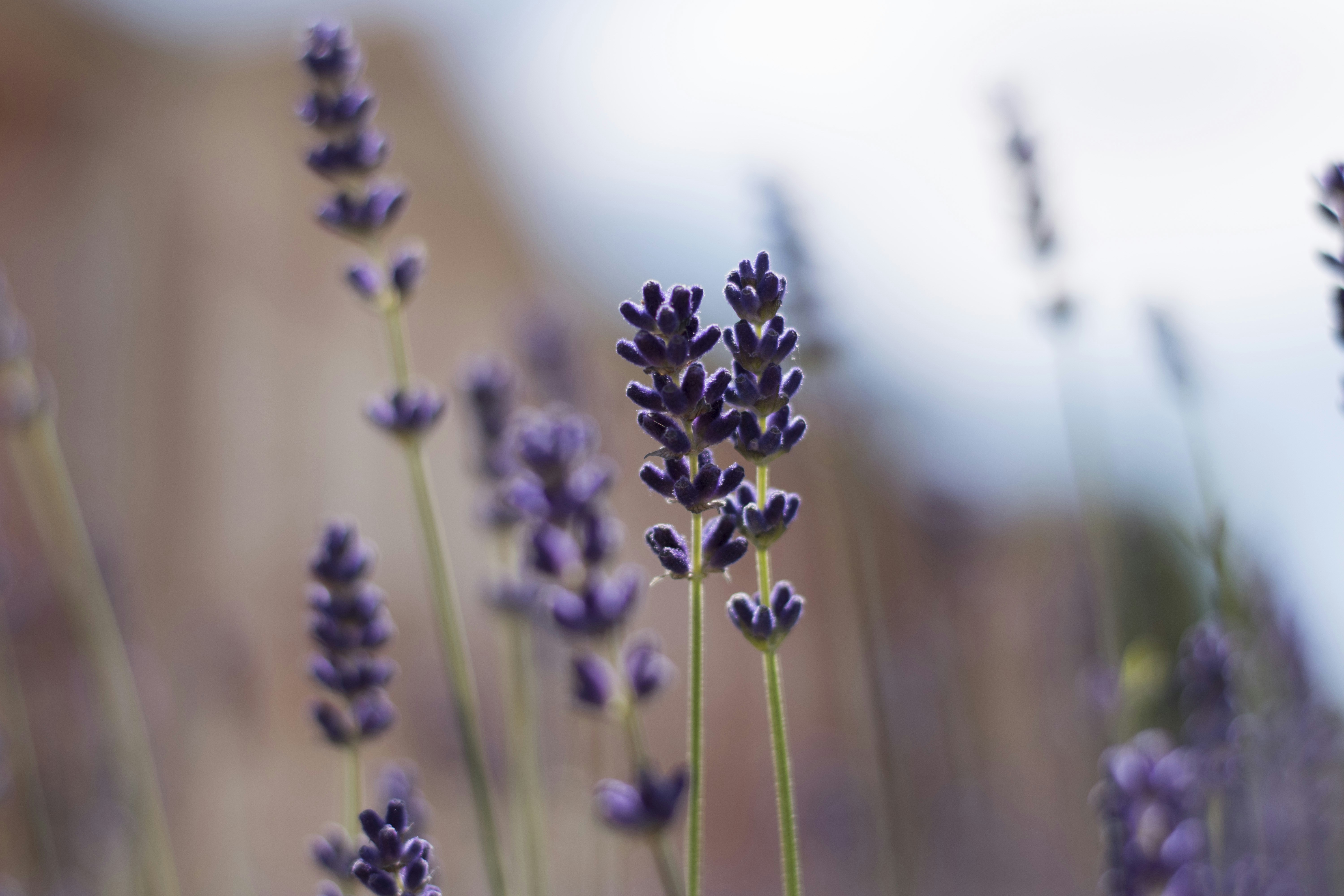 Photo by itsrobcoates