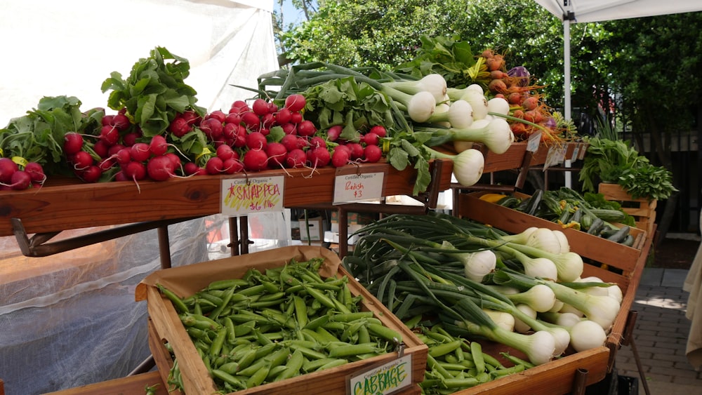 vegetables on trays