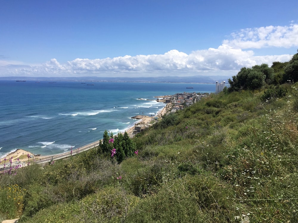 ocean view during daytime