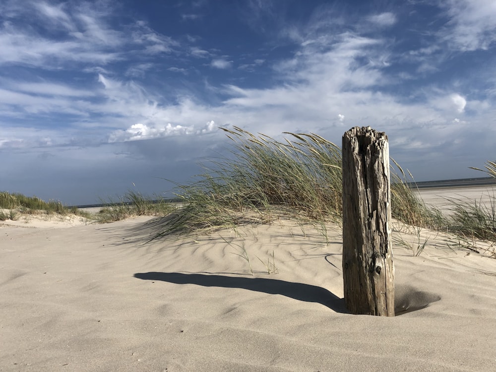 white sand beach under blue sky