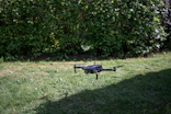 Drone flying low over a meadow searching for hidden fawns before mowing begins.